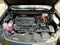 2025 Toyota Crown Signia XLE